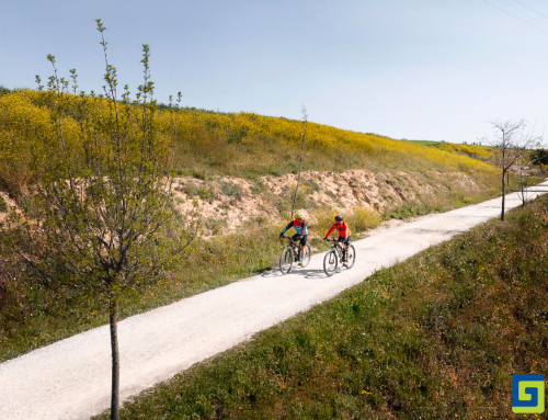 Cycle-pedestrian paths: Emilia Romagna invests in sustainable mobility