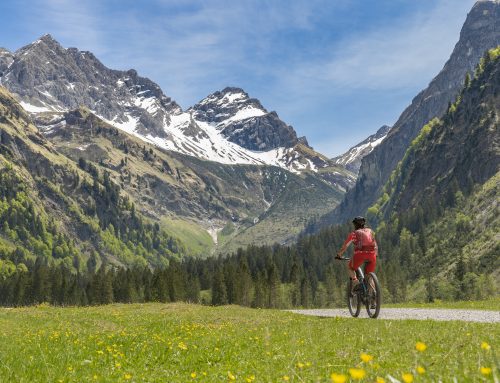 Burgraviato: Piste Ciclabili Rinnovate per una Stagione Sicura e Sostenibile
